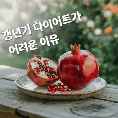 갱년기 다이어트가 어려운 이유