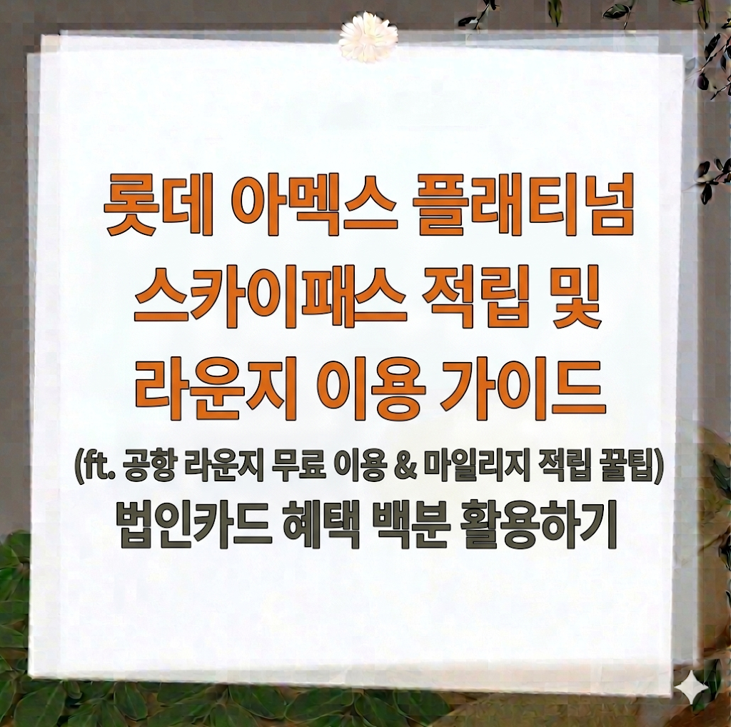 롯데 아멕스 플래티넘 법인카드 혜택 스카이패스 적립 및 라운지 이용 꿀팁
