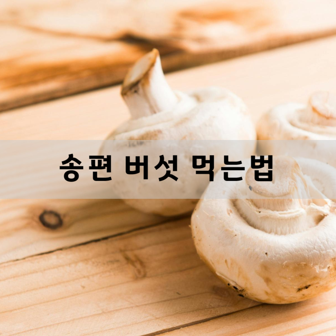 송편-버섯-먹는-법