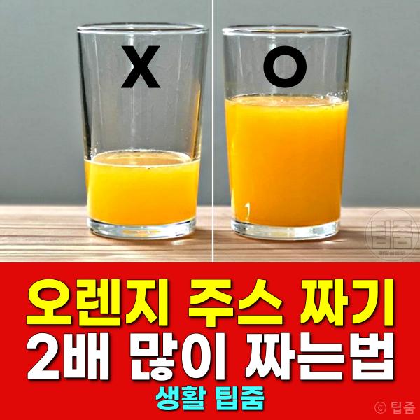 오렌지 주스 짜기 2배 오렌지즙 짜는 기계 없이