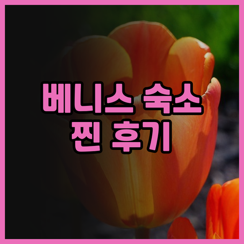 안다 베니스 호스텔 리얼 후기! 베니..