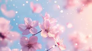 벽지곰팡이 제거법 총정리 셀프 청소부터 재발 방지까지