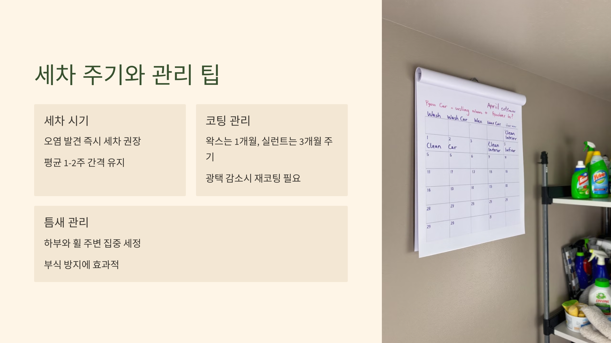 세차 주기와 관리 팁