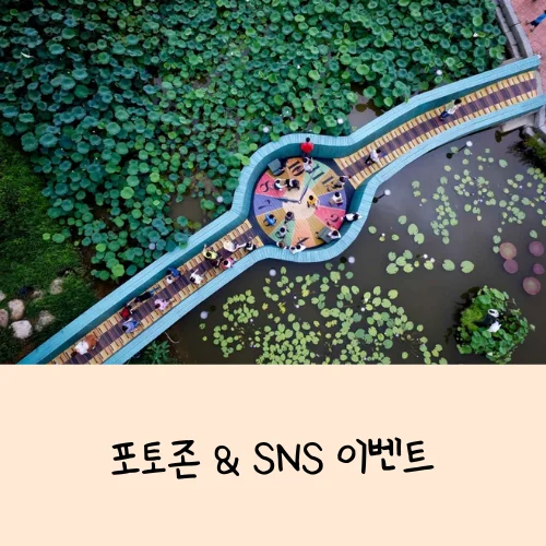 무안연꽃축제