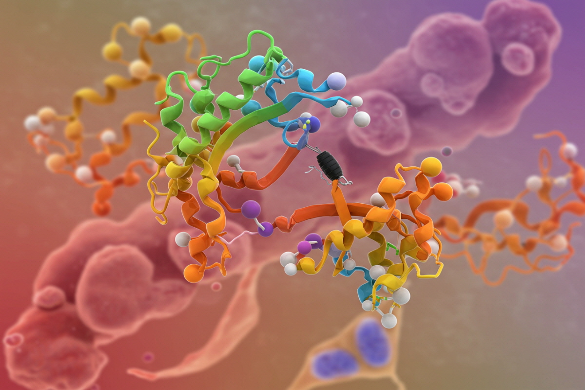 당뇨 다이어트 약