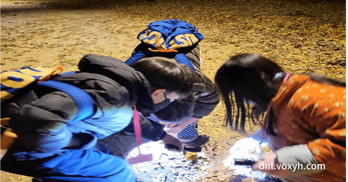 올림픽공원의 어린이 생태계 학습