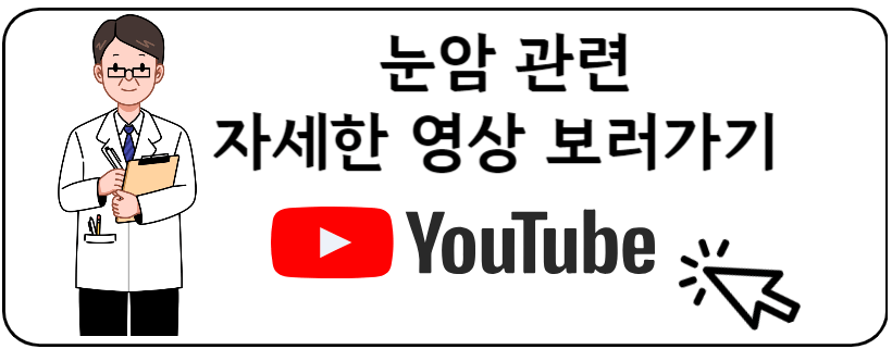 눈암유투브