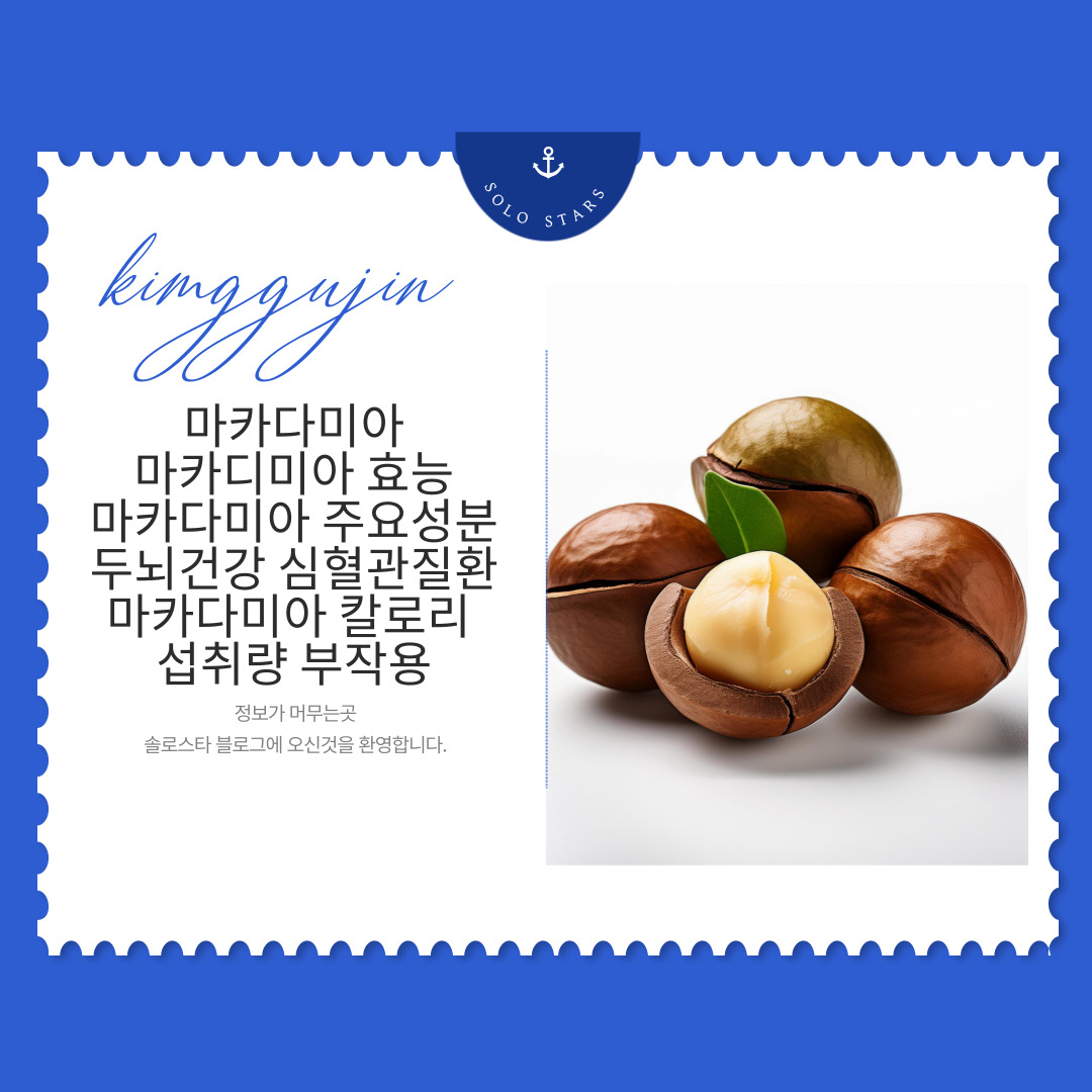 마카다미아 사진