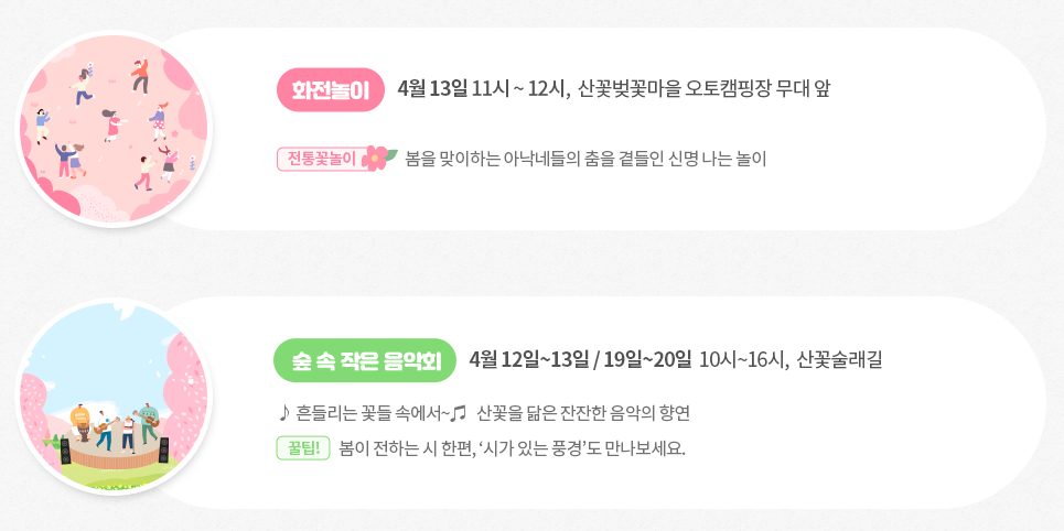 금산 보곡산골 산벚꽃 축제