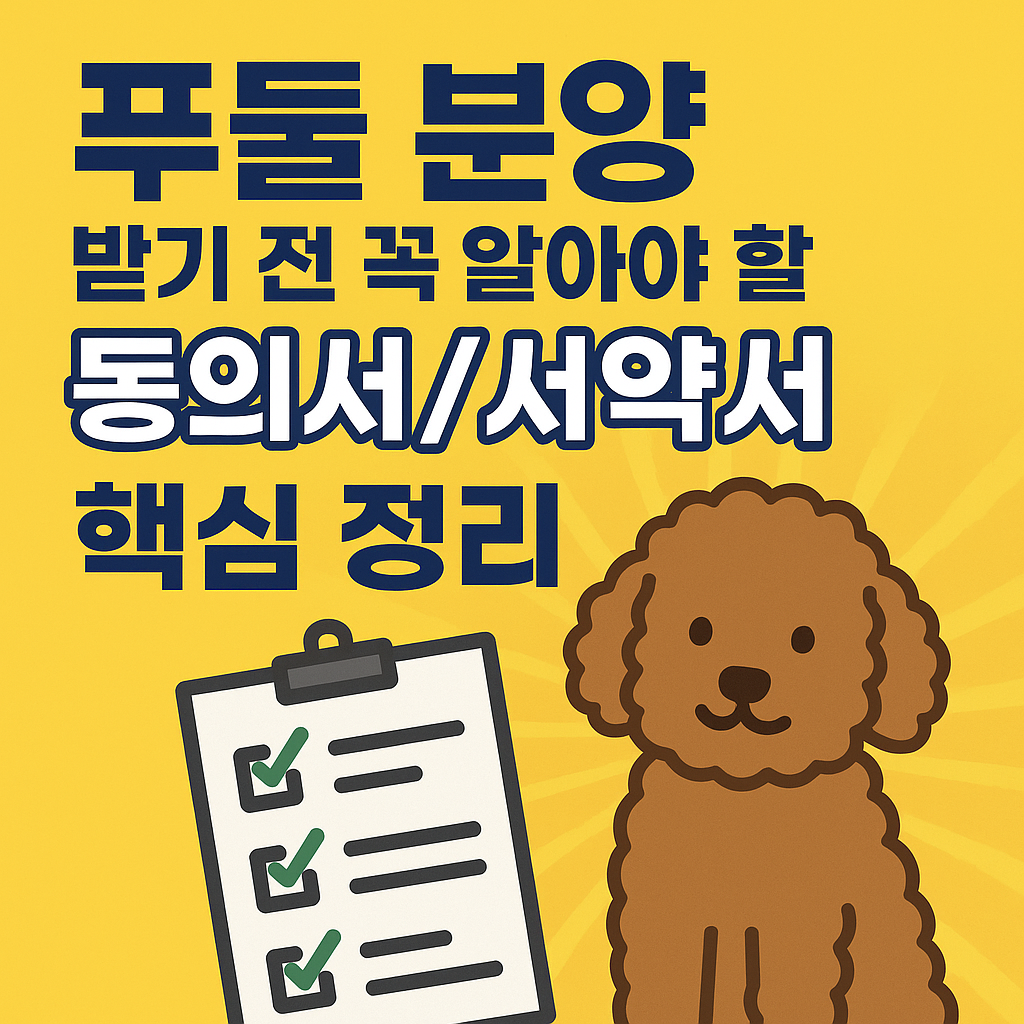 푸들 분양