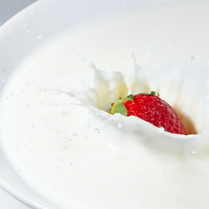 유산균이-많은-음식-10가지