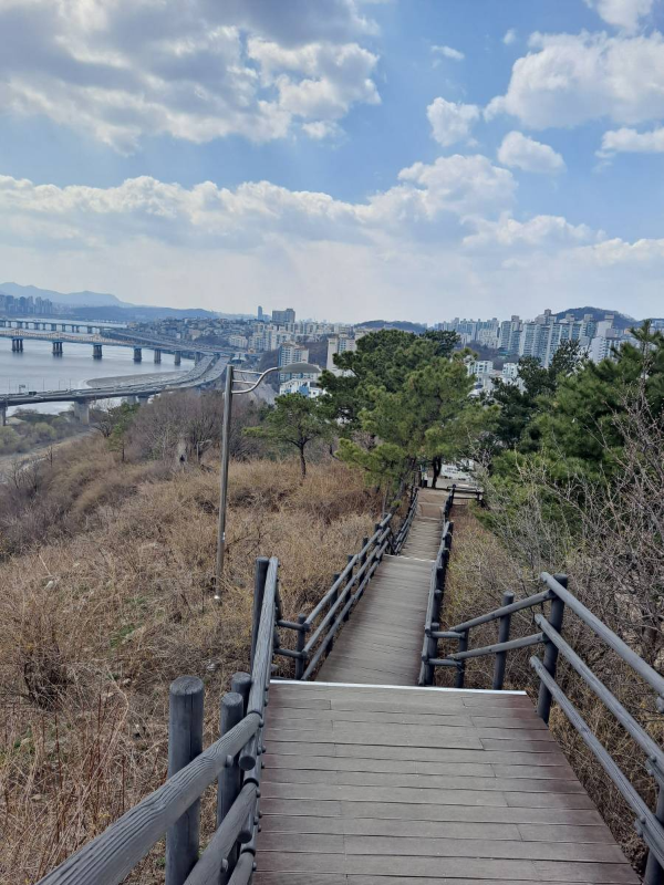 서울숲 내려가는 길