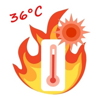  더위 먹었을 때 증상과 대처법 총정리 