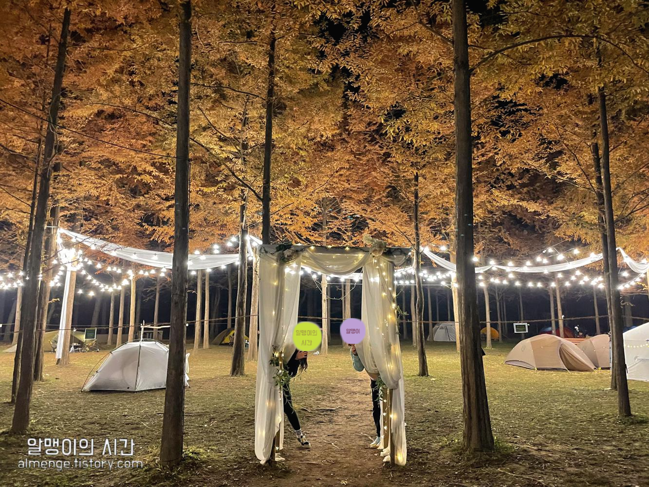 #9 남이섬 단풍 백패킹 :: 트레킹 온 아일랜드 후기 #9 남이섬 단풍 백패킹 :: 트레킹 온 아일랜드 후기