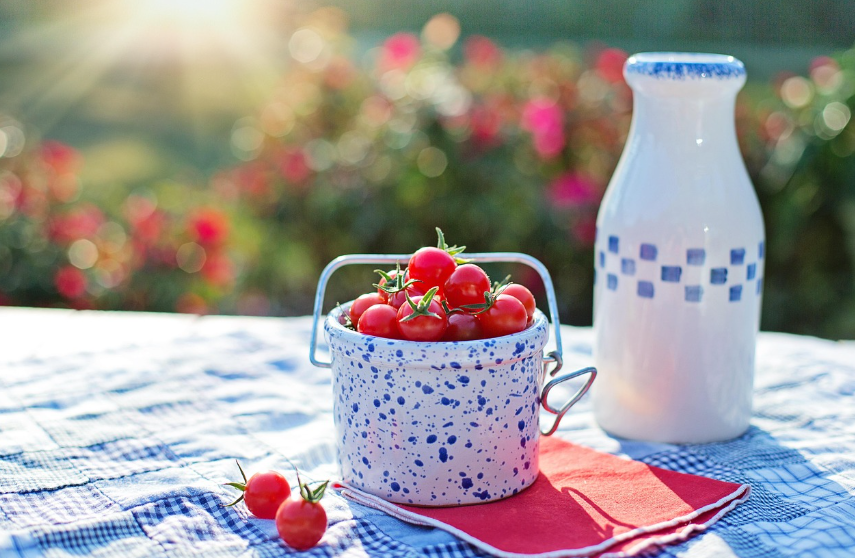 다이어트 관련 이미지