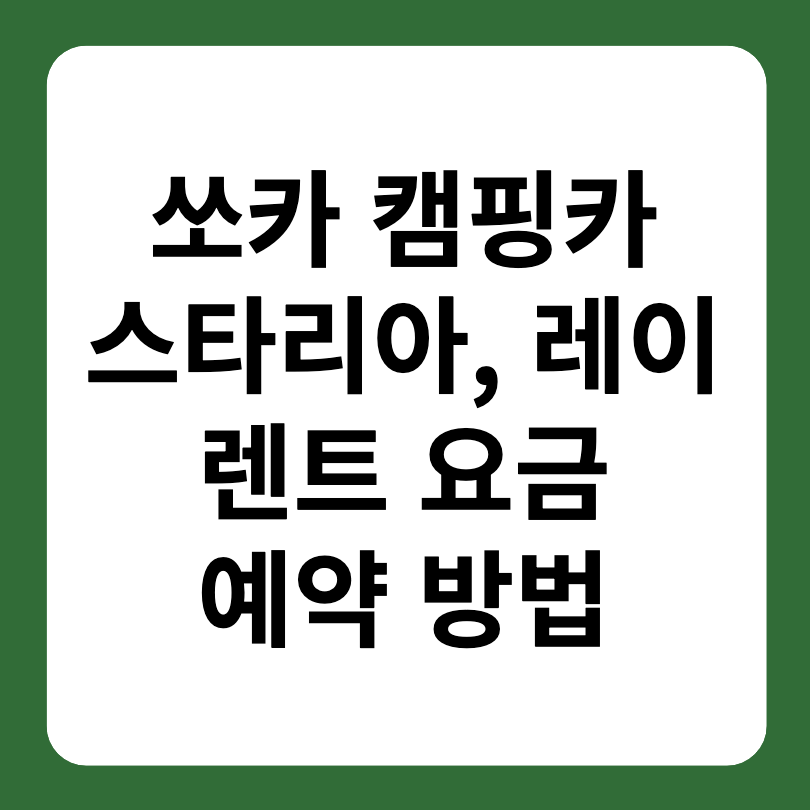 쏘카 스타리아, 레이 캠핑카