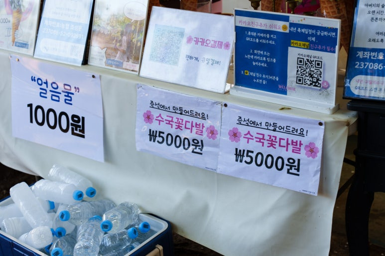 용설-수국축제-수국꽃다발-판매