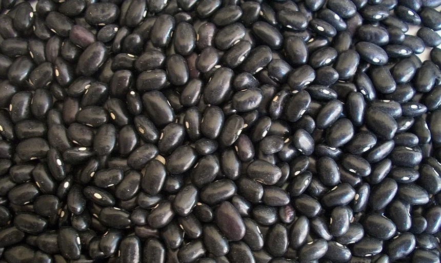 서리태 검은콩 효능 검은콩물 칼로리