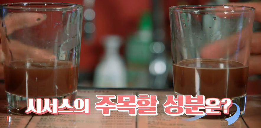 시서스 효능