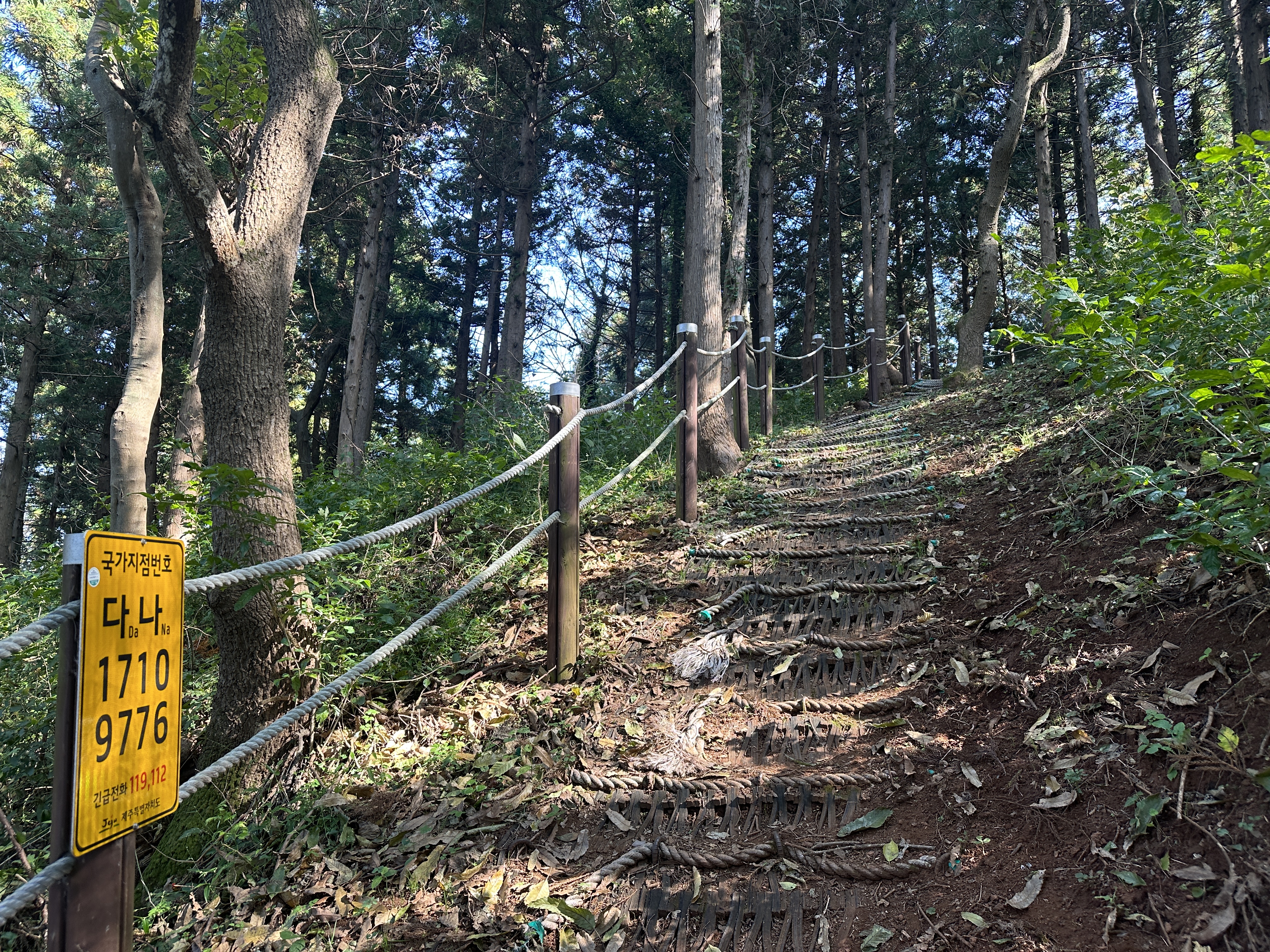 안세미 오름 탐방로