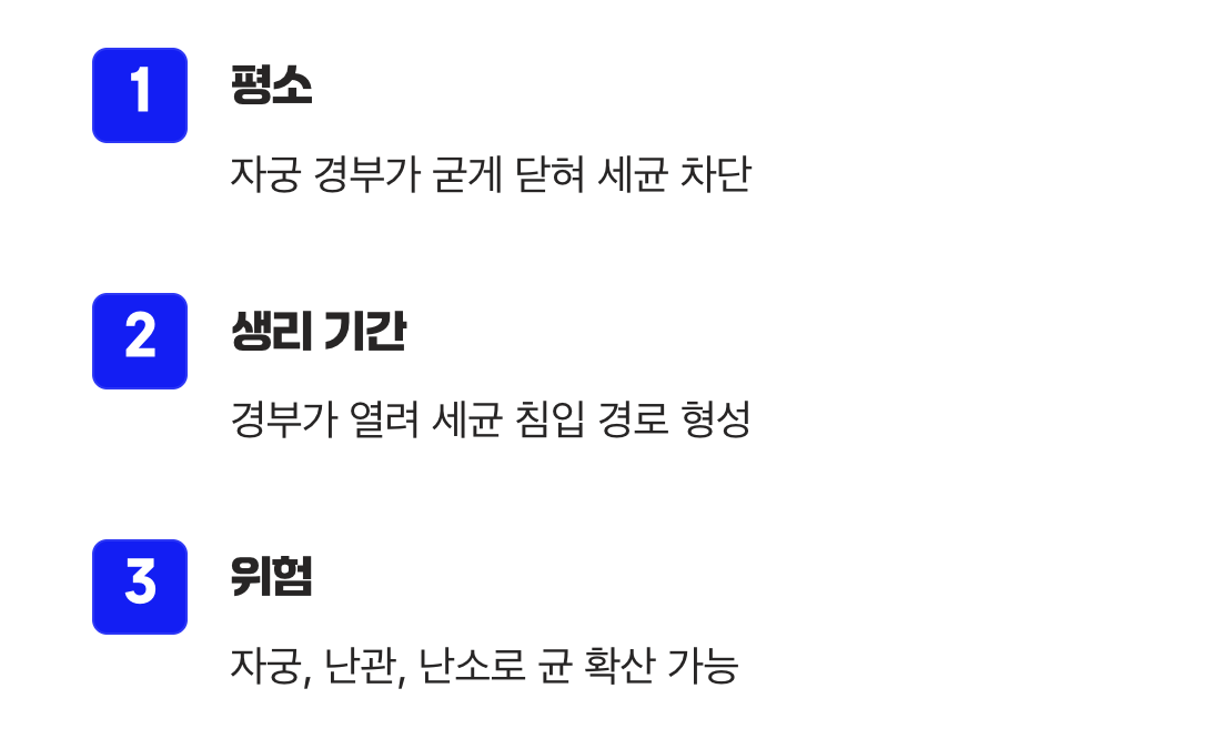 열려버린 문, 세균의 침입 경로