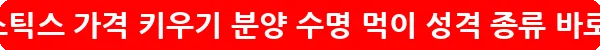 유로메스틱스 가격 키우기 분양 수명 먹이 성격 종류_18
