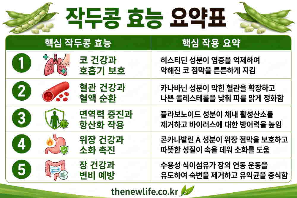 작두콩 효능 요약표