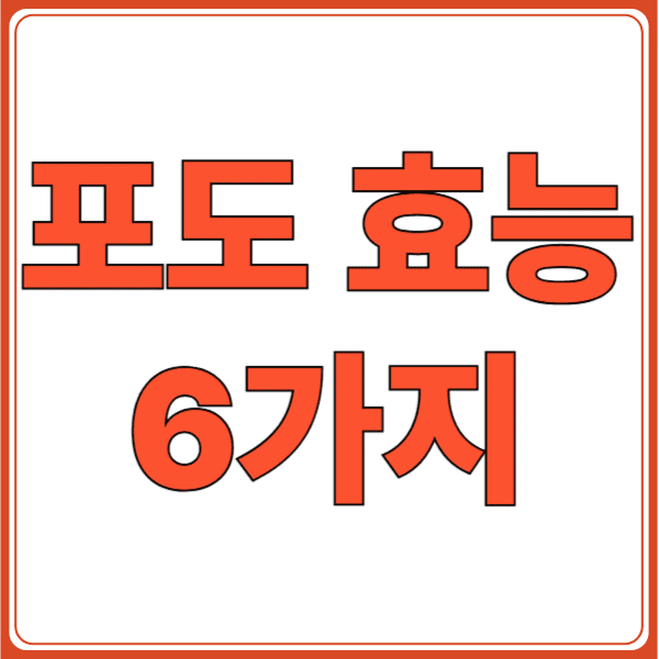 포도 효능의 썸네일