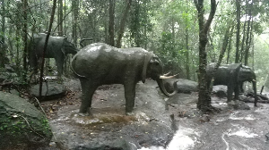 푸꾸옥 여행 추천 수오이짠 폭포