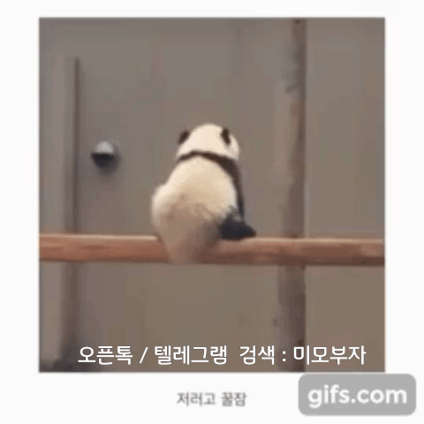 움짤