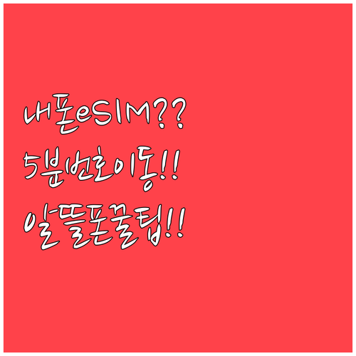 내 폰 eSIM 가능한지 확인하고 알..
