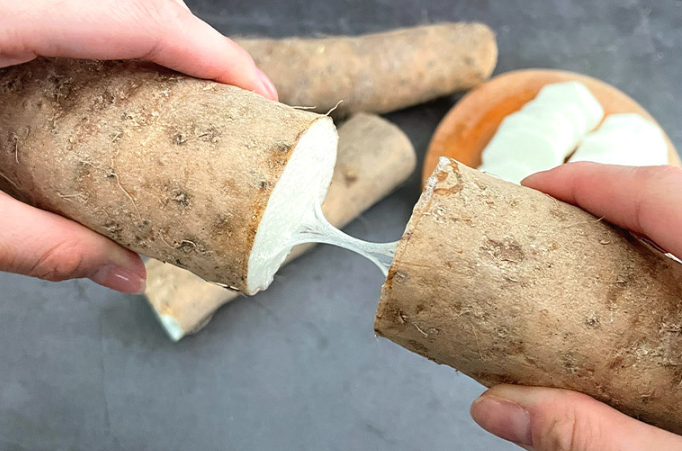 안동마모자농원