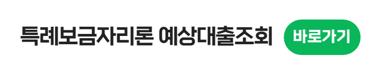 특례보금자리론