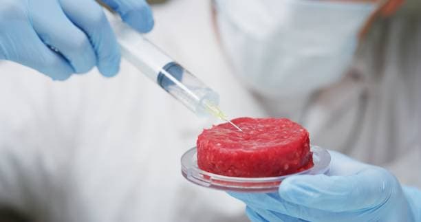 배양육이 2050년 식탁의 주인공이 될 수 있을까?