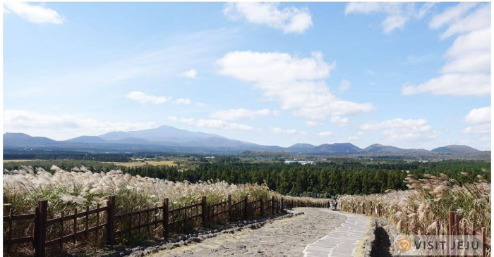 제주도 가볼만한곳