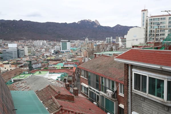 대 신축 아파트 타운 형성