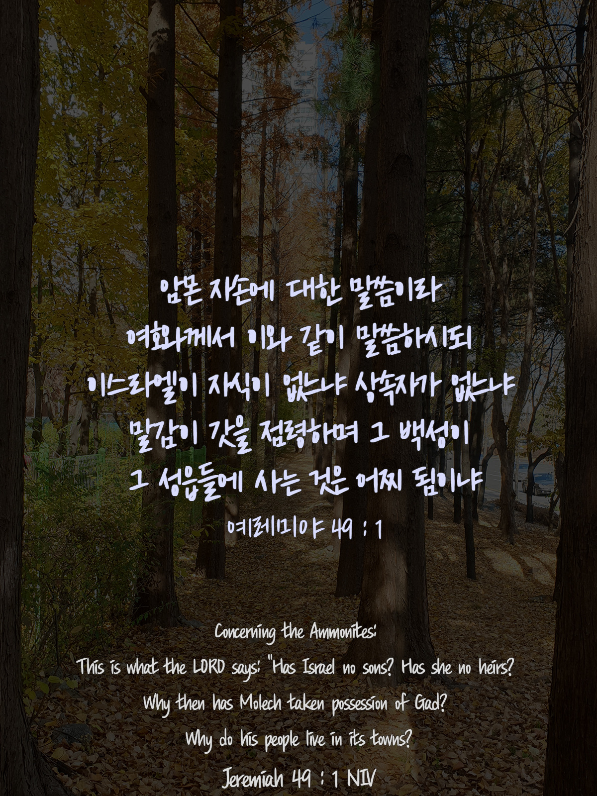 예레미야 49장