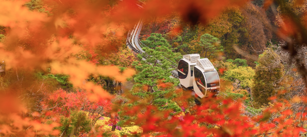 화담숲 예약하기