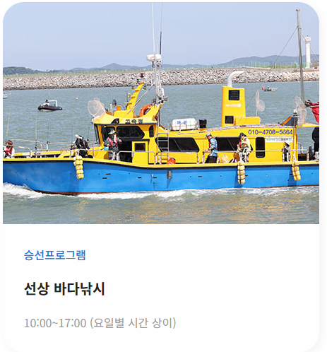 해양레저승선사진