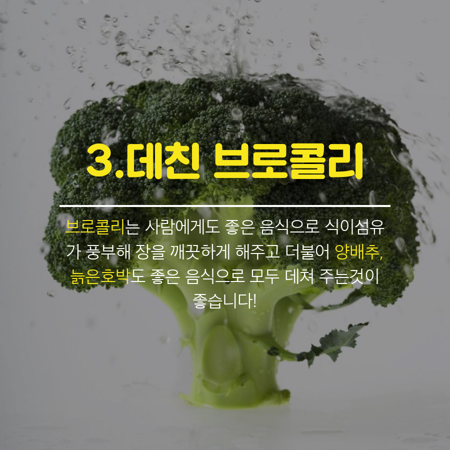 강아지에게 좋은 음식