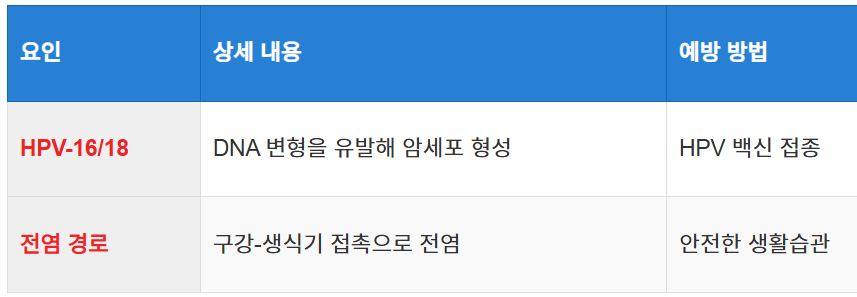 HPV와 구강암의 연관성