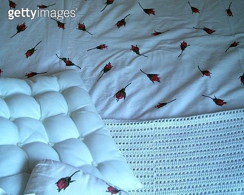 에어컨 없이도 시원하게? 요즘 핫한 냉감패드 써봤더니