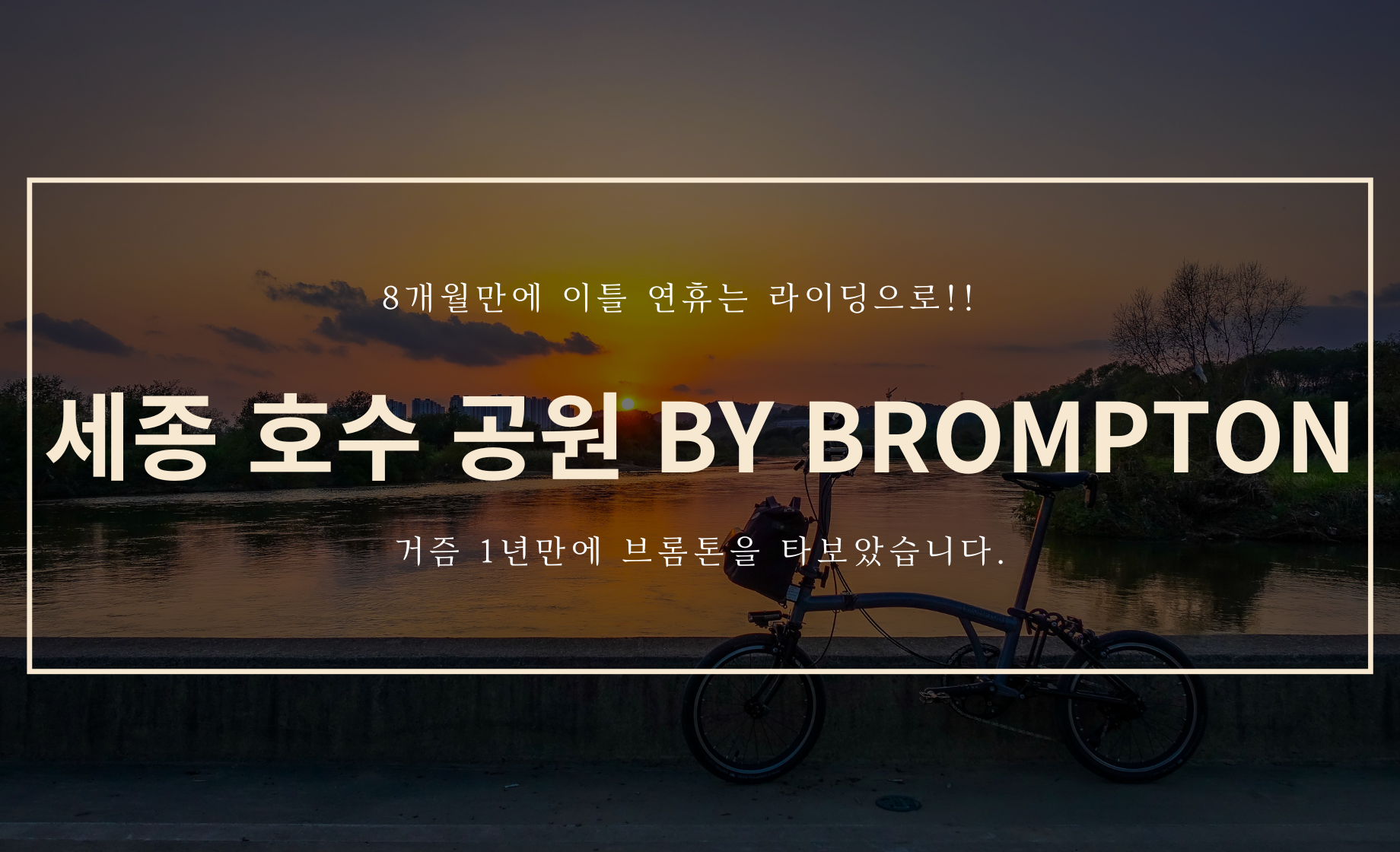 세종 호수 공원 By Brompton.