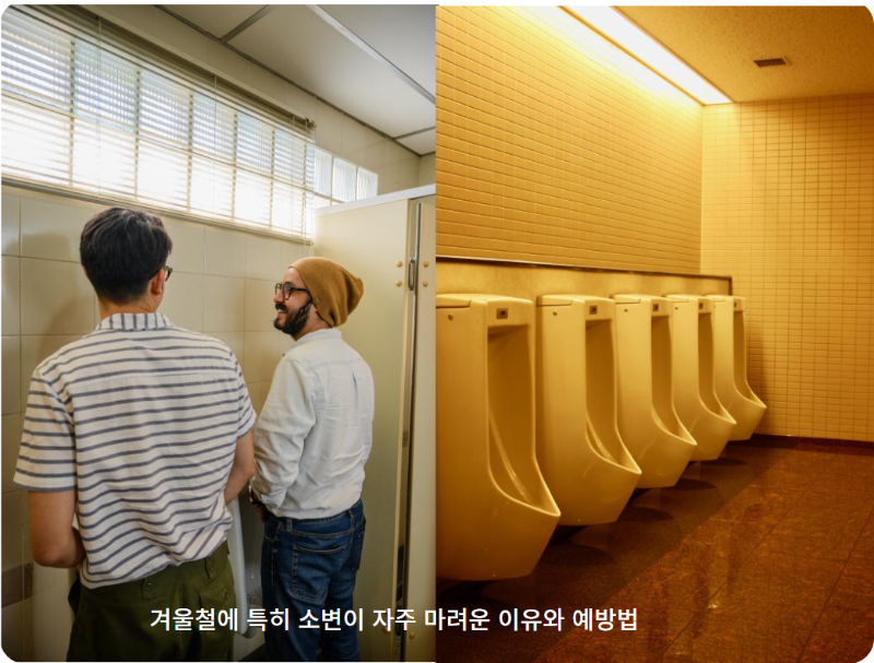 겨울철 소변 빈도가 증가하는 이유
