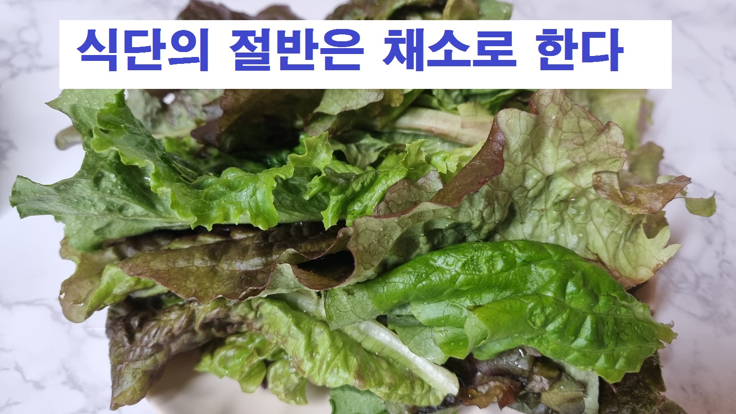 체소