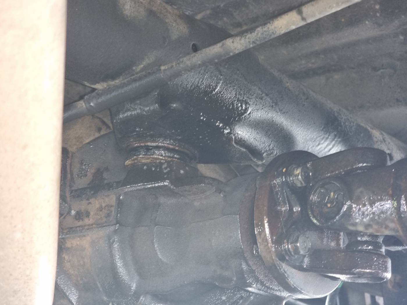 코란도투리스모