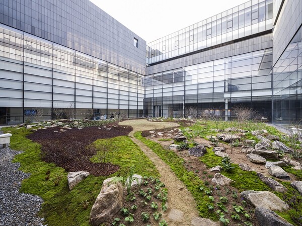 정영선 이 땅에 숨 쉬는 모든 것을 위하여