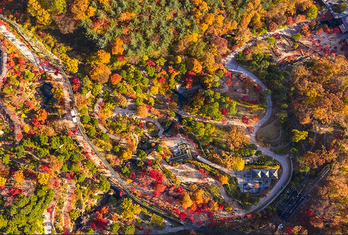 화담숲 모노레일