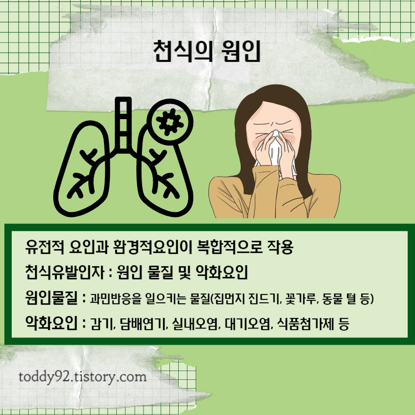 천식의 원인