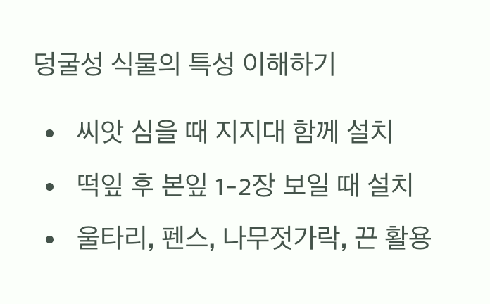 하늘을 향한 사다리, 지지대 세우기